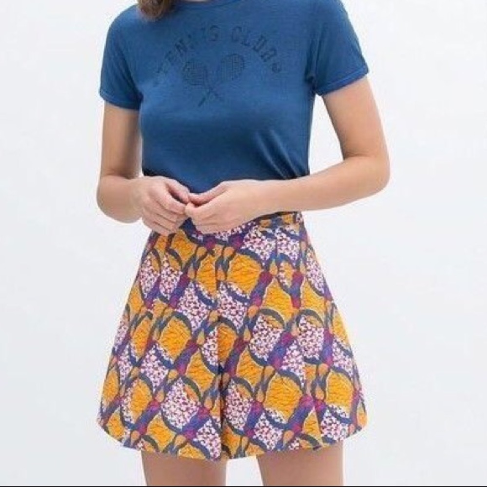 Zara Flare Skirt